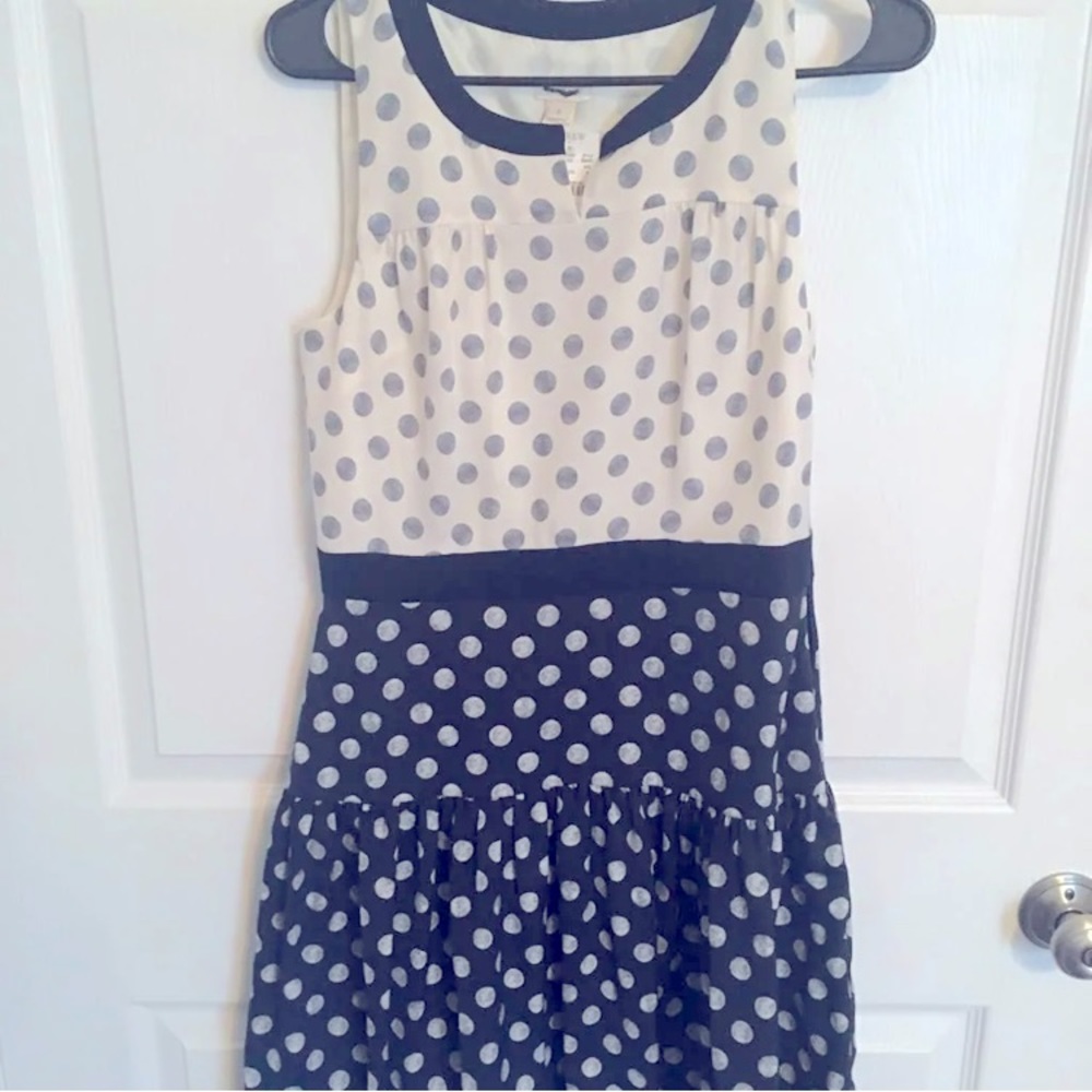 J.Crew Polka Dot Dress
